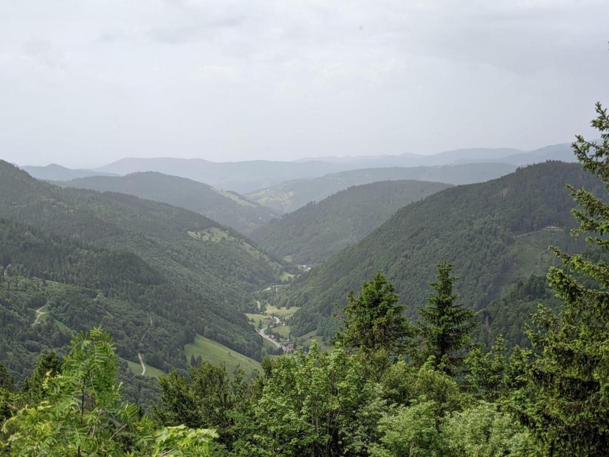 Schwarzwaldglueck